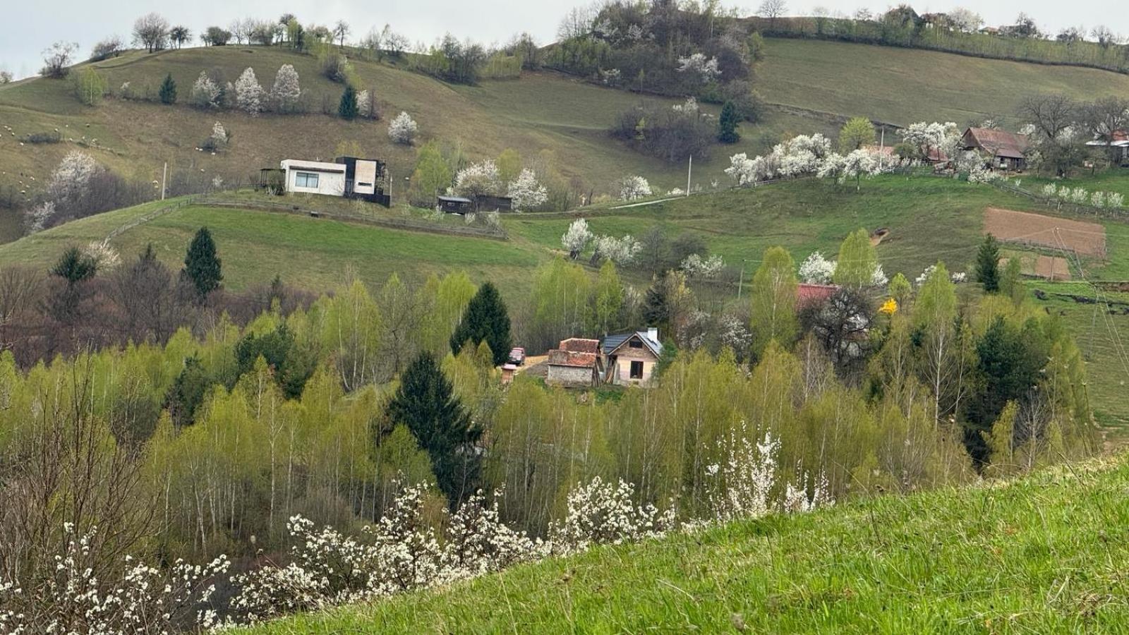 Casa Nicoladis Leilighet Zărneşti Eksteriør bilde