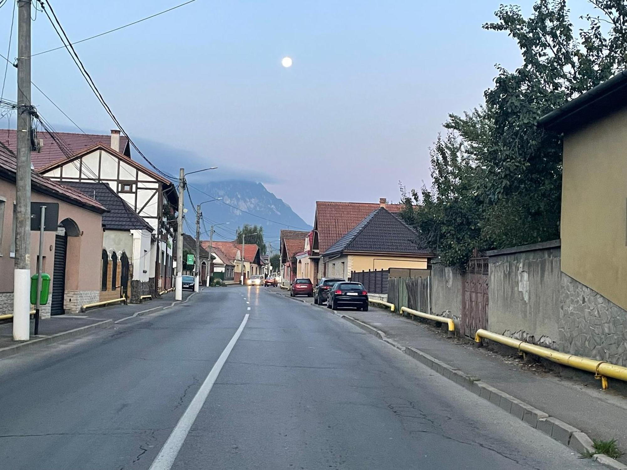 Casa Nicoladis Leilighet Zărneşti Eksteriør bilde