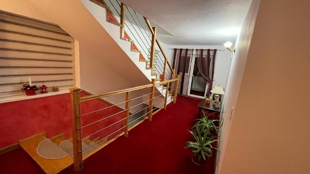 Casa Nicoladis Leilighet Zărneşti Eksteriør bilde