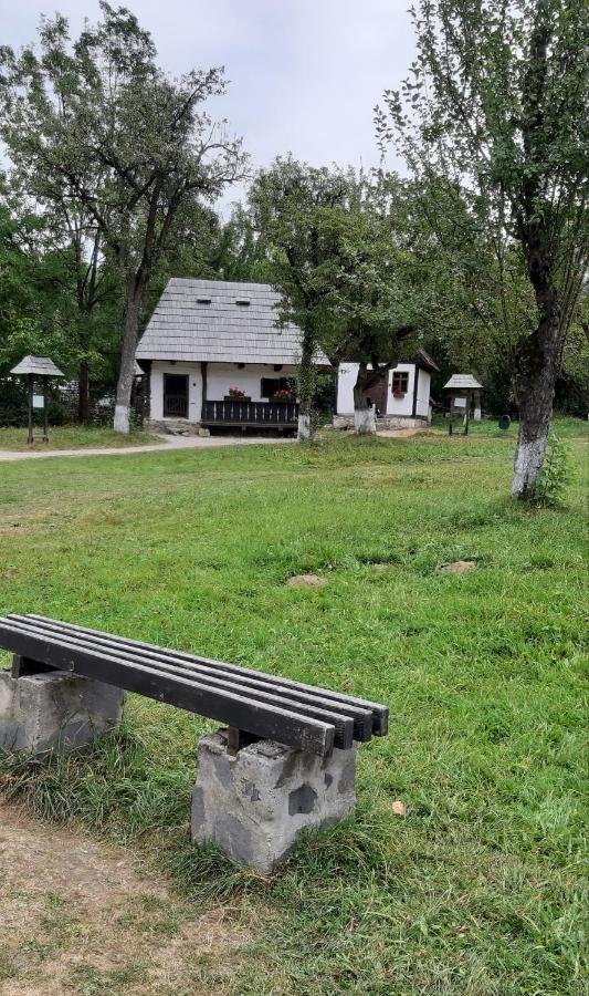 Casa Nicoladis Leilighet Zărneşti Eksteriør bilde
